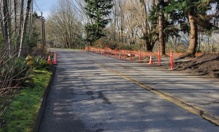 Roadway with orange cones on the edges. 