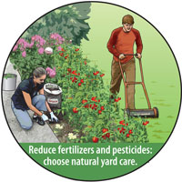 Reduce fertilizers and pesticides: choose natural yard care.