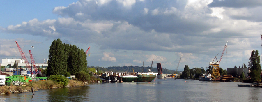 This photo shows a river with some green areas on the bank and some industrial cranes in the distance. 