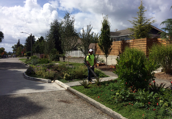 King County installed roadside rain gardens as part of the Barton CSO Control Project
