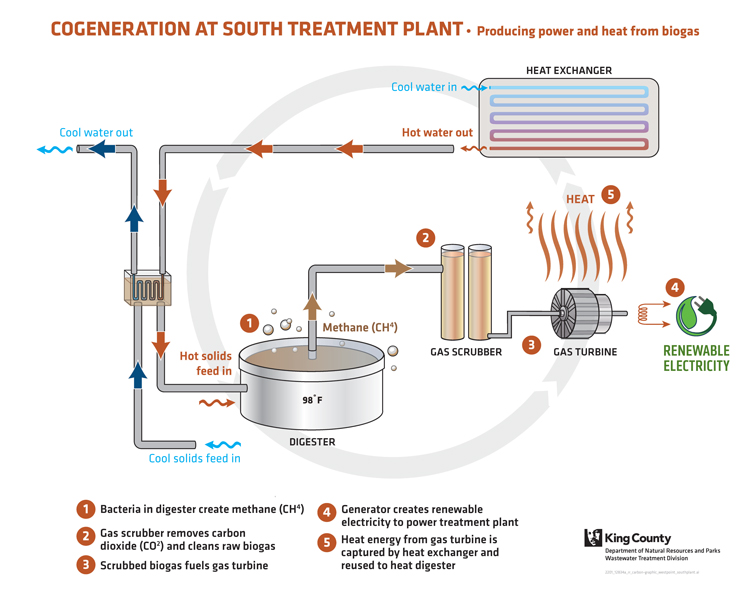 Renewable-Energy-Cogen-at-South-Plant_750