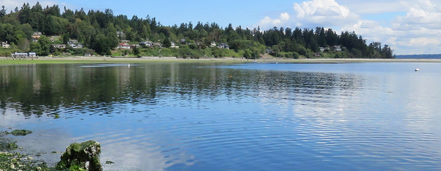 SHR-climate-change_900x350