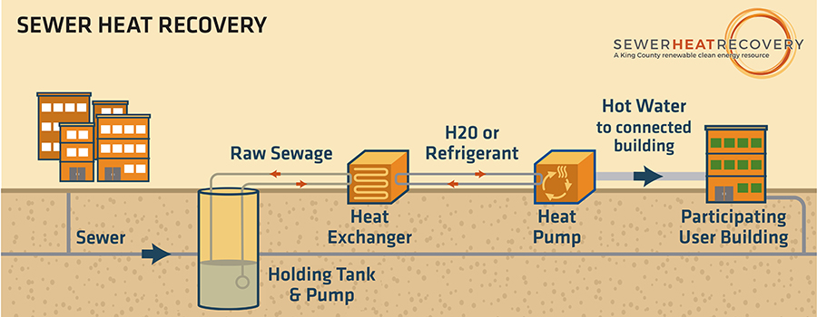 how sewer heat recovery works: Waste starts in sewer, into a holding tank and pump, then a heat exchanger, then it moves to a heat pump then hot water to a connected building.