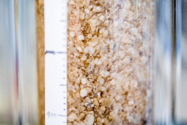 Aerobic Granule