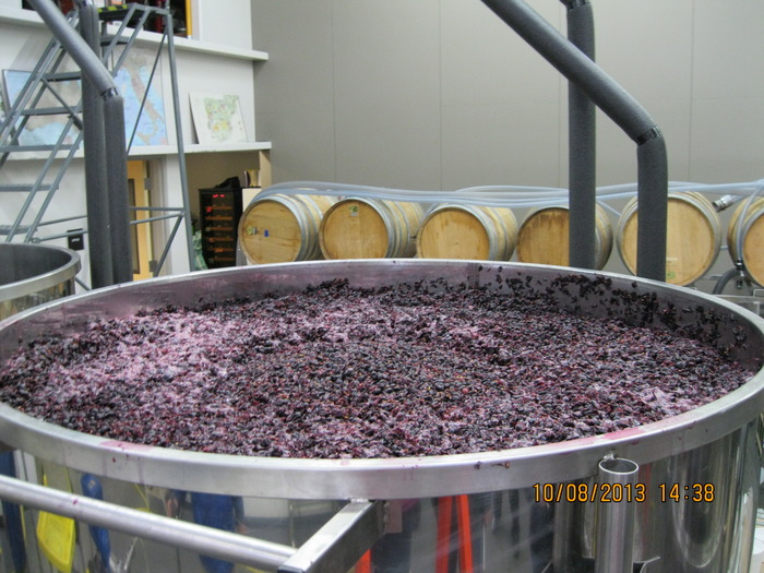 A large steel tank with grapes being in the initial stages of wine production.
