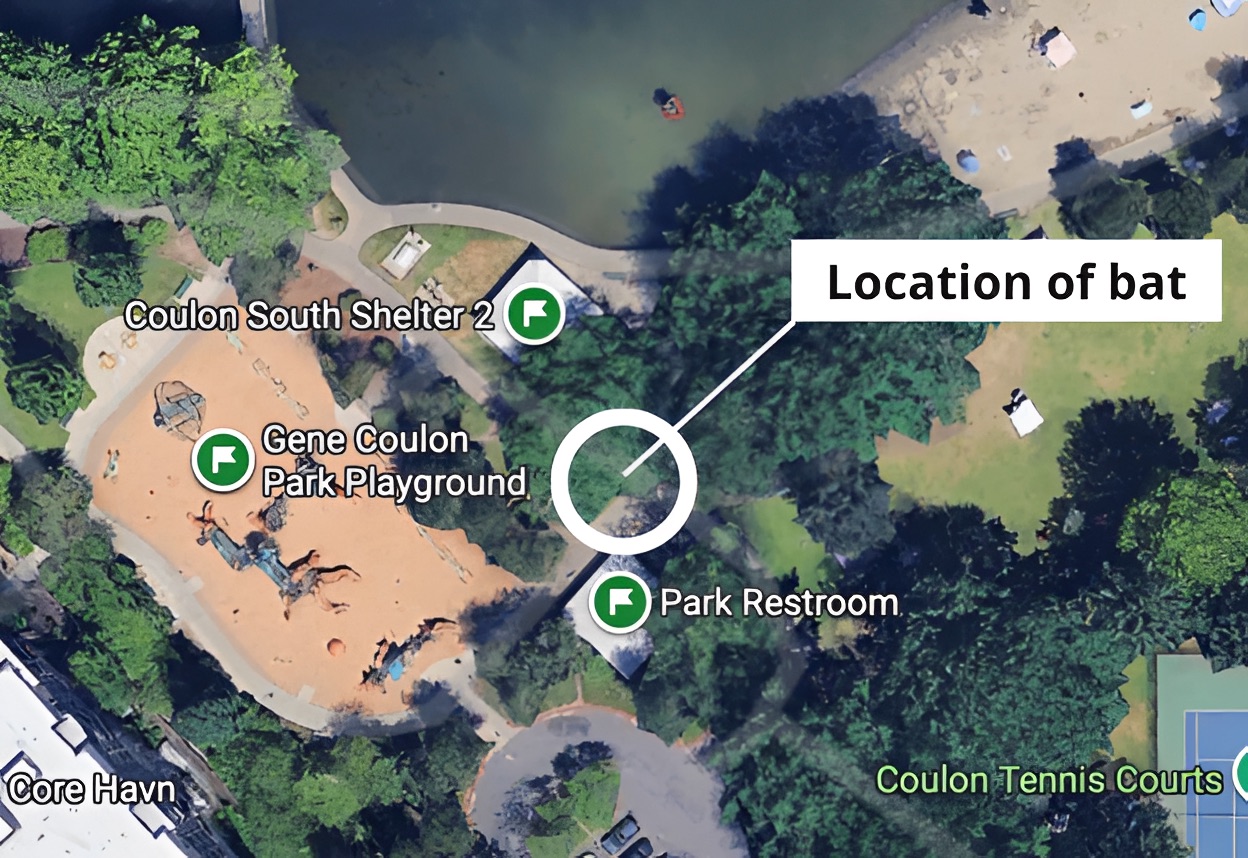 Map of Gene Coulon Park in Renton where a rabid bat was found in July 2026