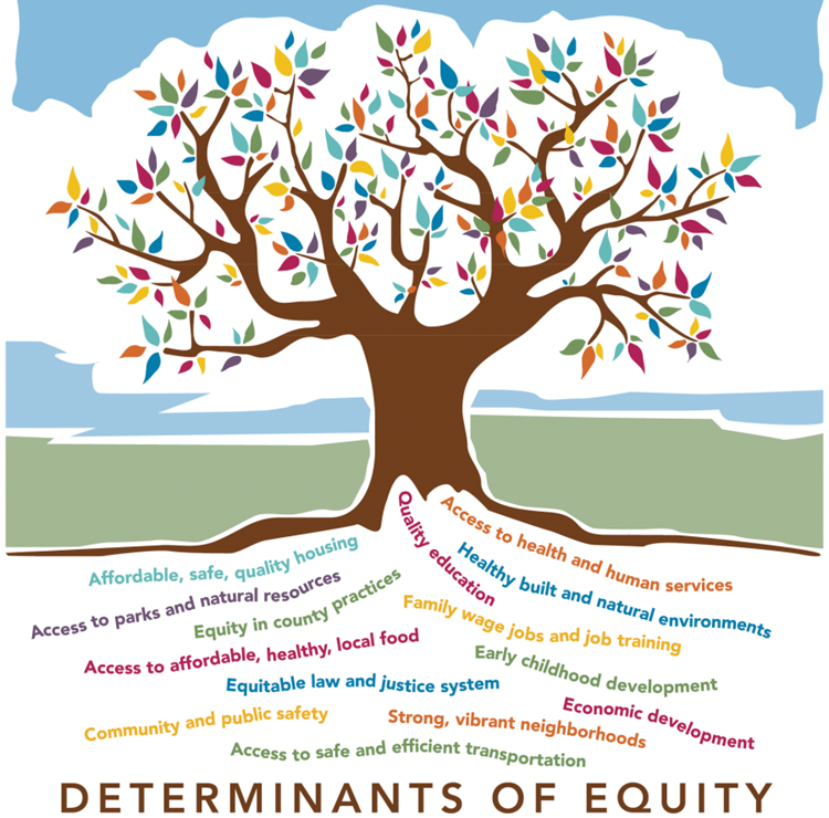 Determinants of equity.