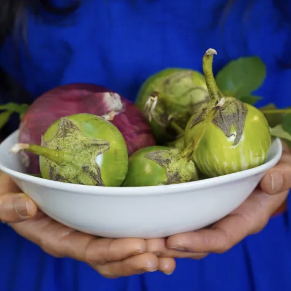 Person with a blue dress holding a bowl of green eggplants and a red onion