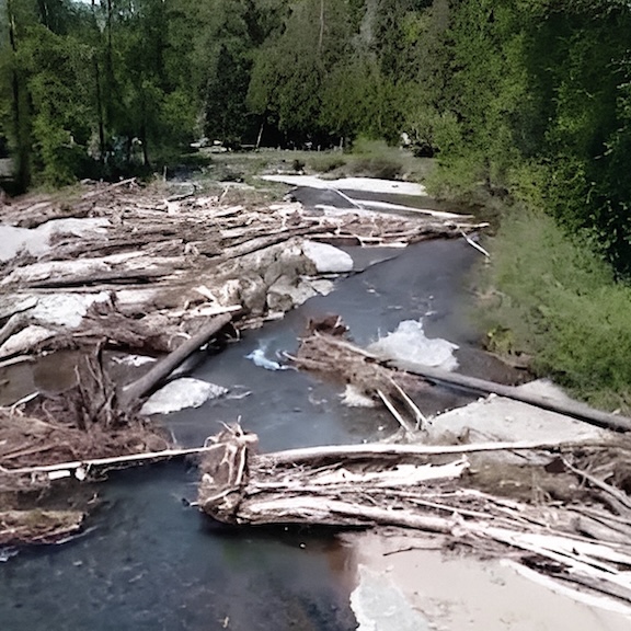 King County river with logs and cold water flowing from snowmelt