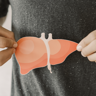 Man holding up a paper version of his liver to describe Hepatitis C conditions