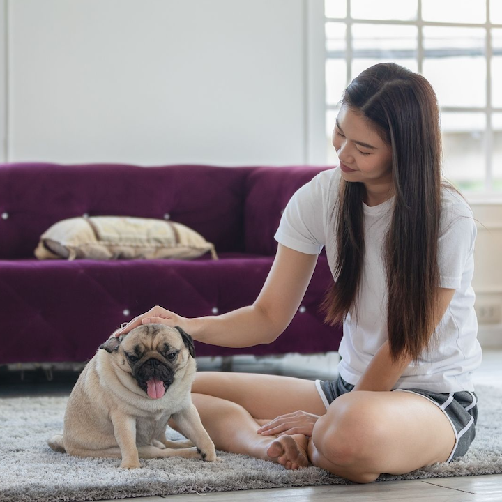 A young woman sitting on the floor petting her pug dog