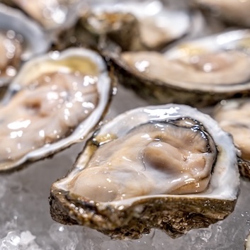 Close-up shot of fresh oysters on a bed of ice, showcasing their natural textures and colors. The oysters are arranged in a way that highlights their unique shapes and sizes, with the ice providing a contrasting backdrop.