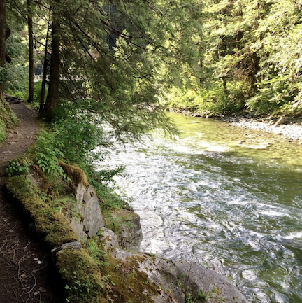Snoqualmie River Trail. Photo by Nathaniel Sundberg.