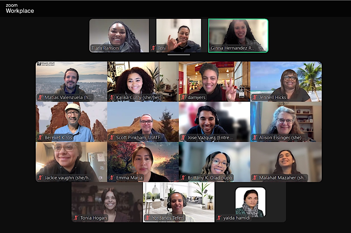 Screenshot of a Zoom meeting from the HEARCAG workgroup