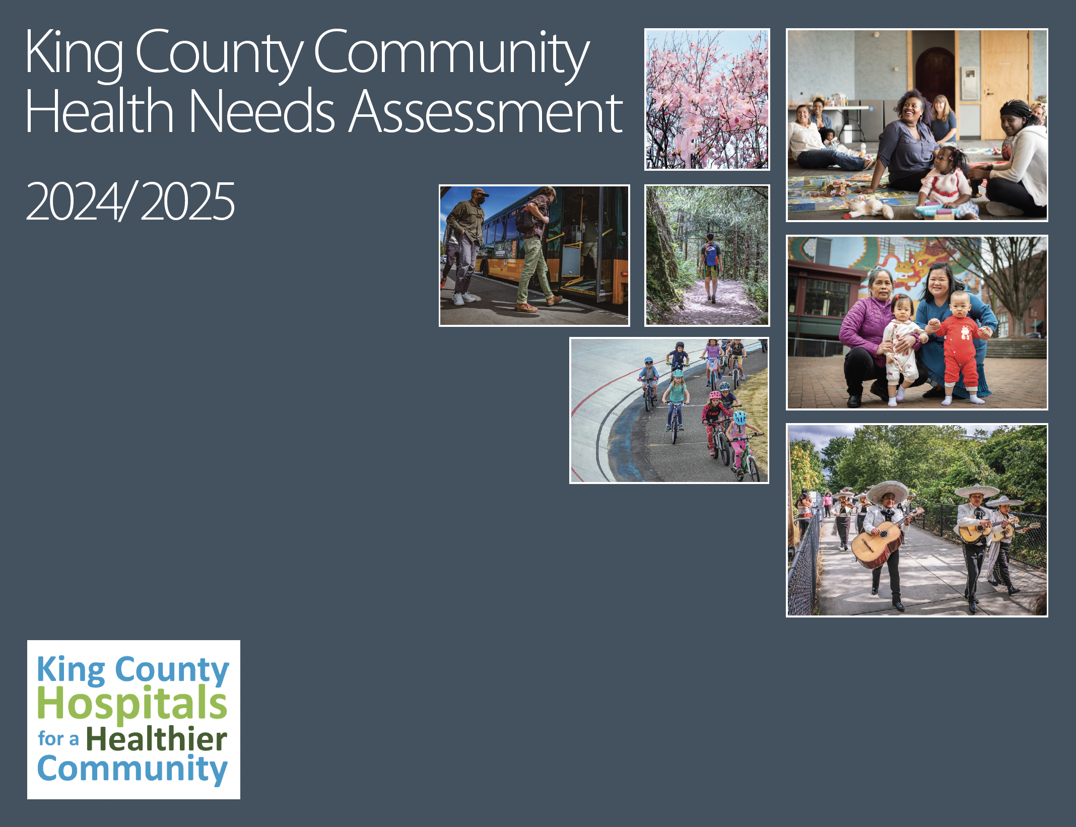 Cover page of the 2024-25 Health Needs Assessment report