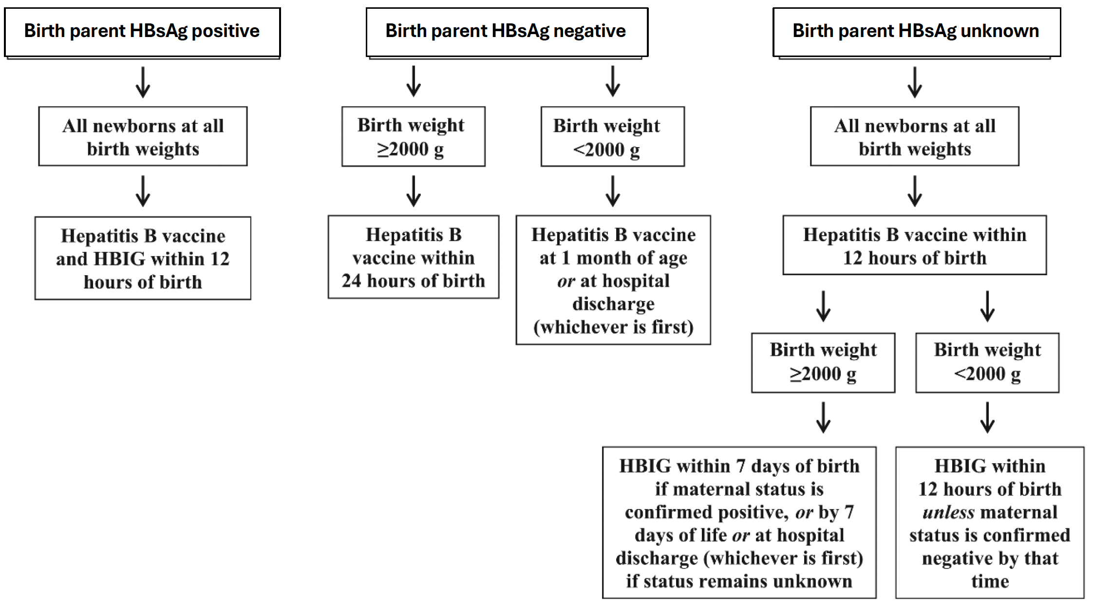 Hepatitis B vaccine for newborns flowchart