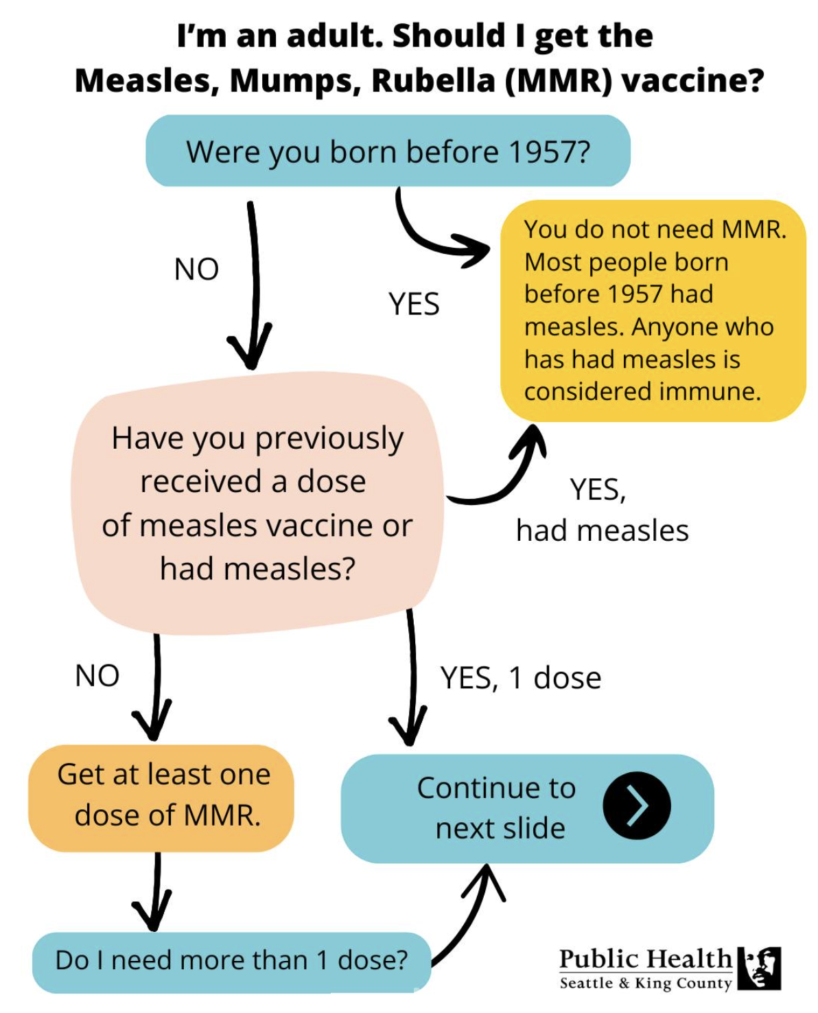 Screenshot of a flowchart that explains which adults need to get the MMR vaccine.