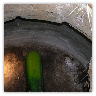 Green dye in sewer from burrow
