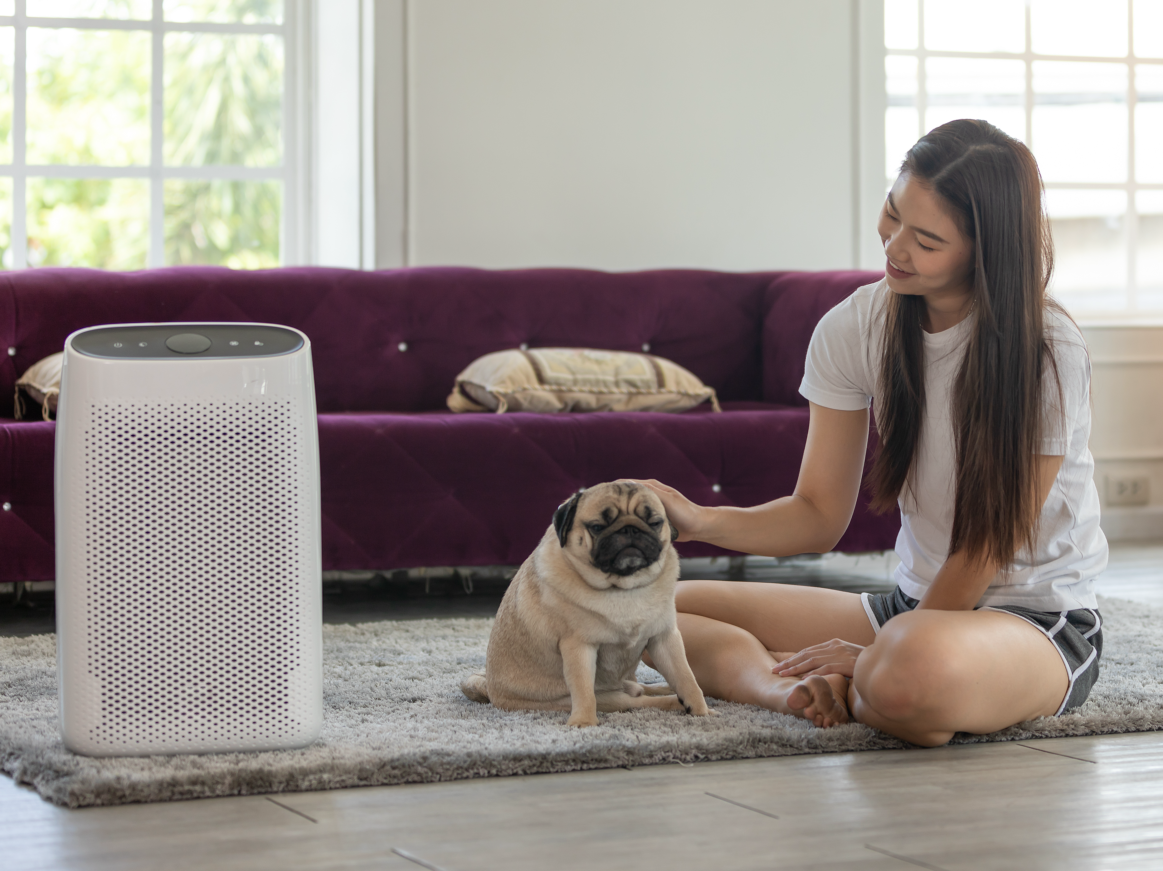 Air filtration machine in a living room with young woman sitting on floor with her pug