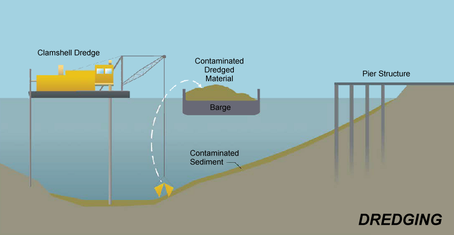 Dredging (removing the toxic mud)