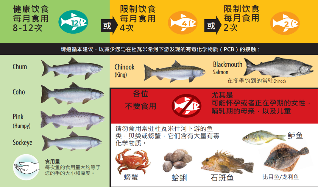 杜瓦米甚河釣魚諮詢卡