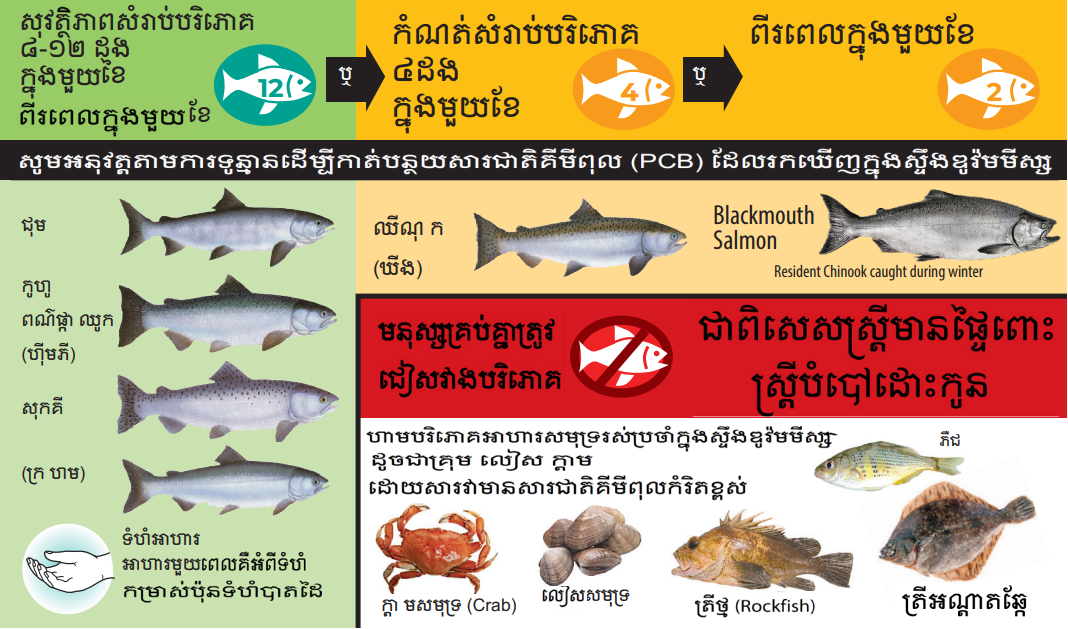 Duwamish Waterway Consumption Advisory card in Khmer
