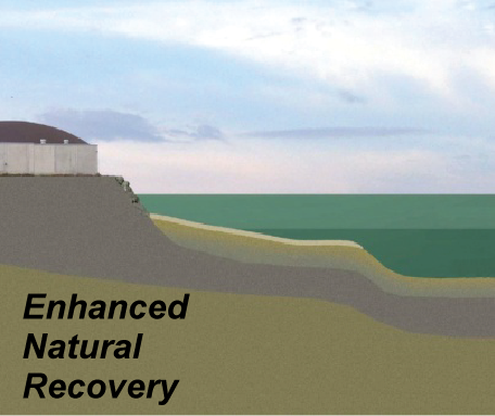 Enhanced Natural Recovery (covering the river bottom with a thinner layer of clean dirt)