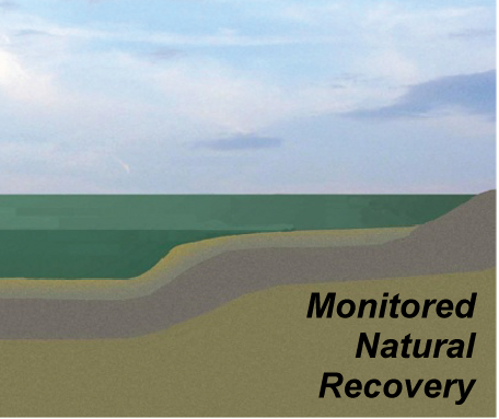 Monitored Natural Recovery (natural sedimentation)