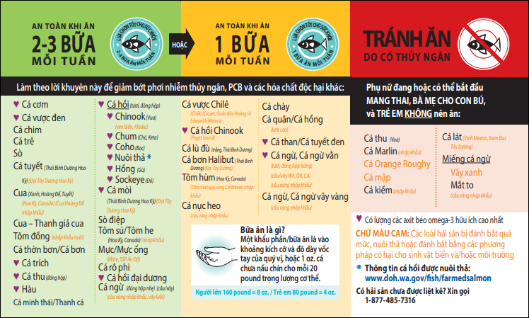 Hướng dẫn câu cá lành mạnh 
