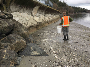 A king county employee performing a beach inspection.