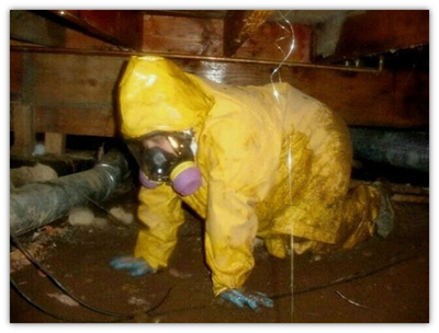 Person dressed in protective gear