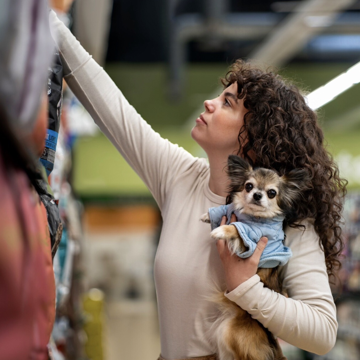A medium shot captures a young woman with curly brown hair holding a small chihuahua dog wearing a blue jacket. The woman is reaching up with her right arm to grab a bag from a shelf in what appears to be a pet store. The dog is held in her left arm, looking directly at the camera. 