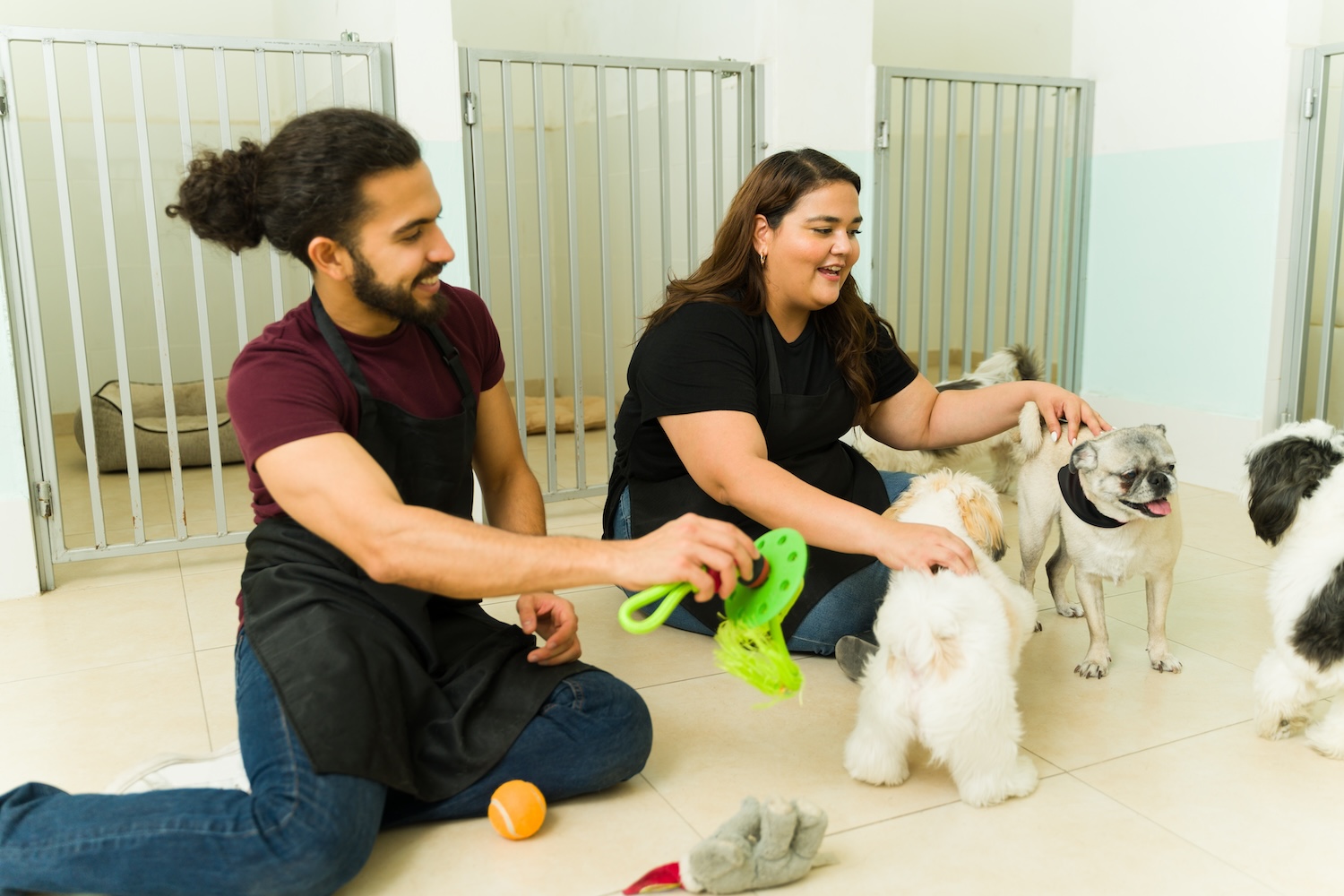 Two people playing with dogs at a pet boarding facility