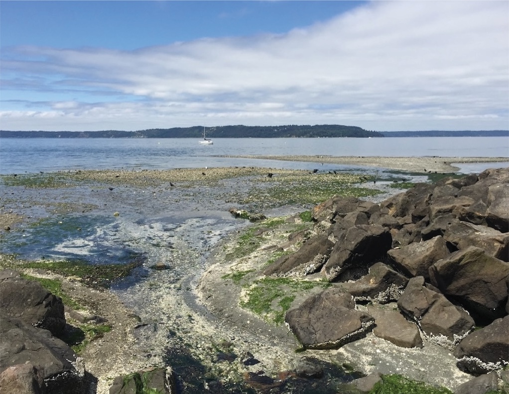 View of the shoreline along Puget Sound and Kitsap Peninsula on the horizon