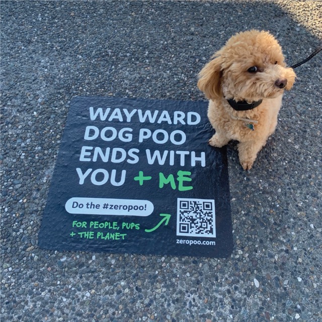 Wayward Dog Poo campaign