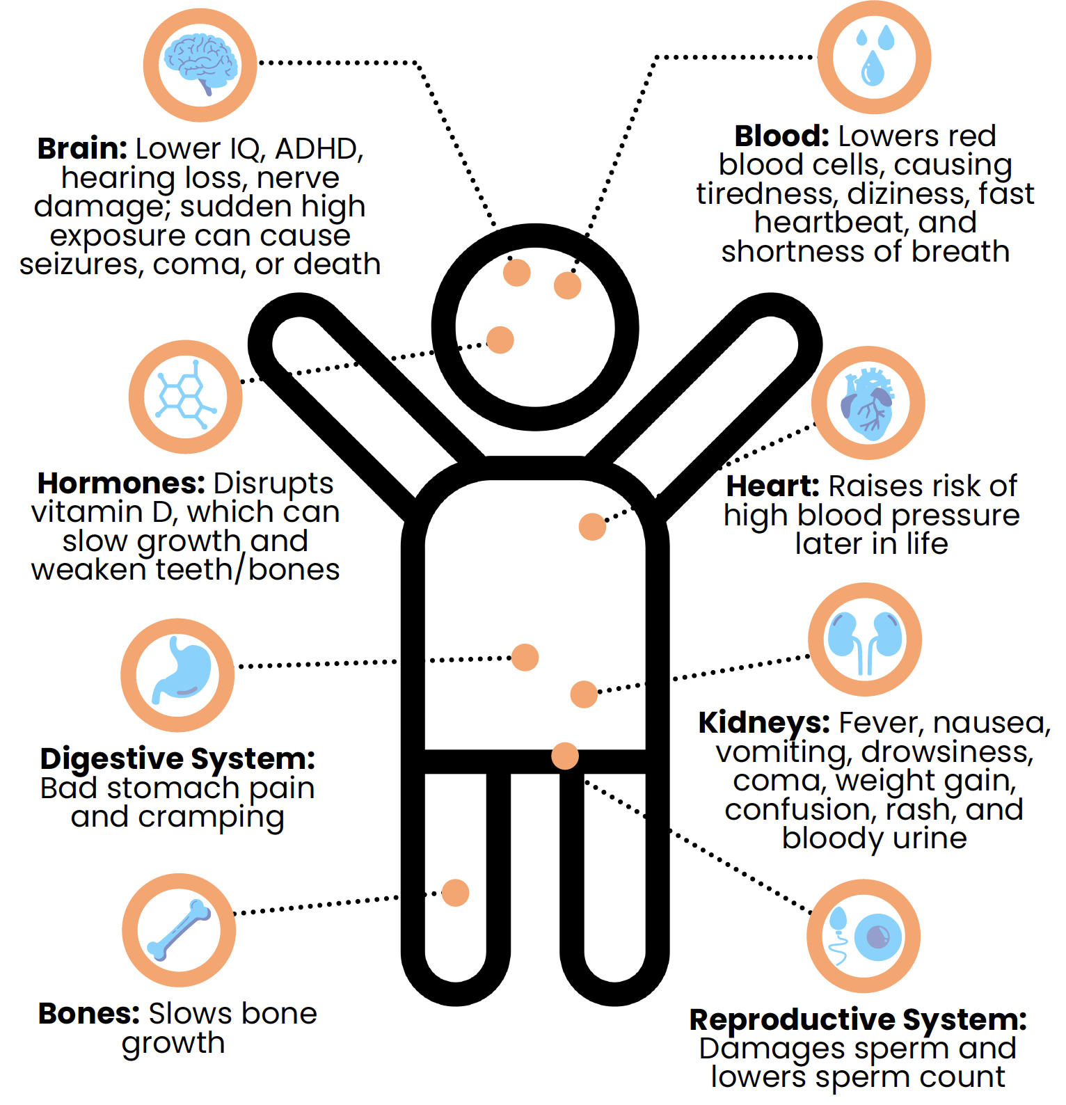 A diagram of a child body with various organs highlighted and labeled with their associated health risks due to lead exposure. The central figure is a simplified outline of a person with arms outstretched. Dotted lines connect specific areas of the body to circular icons and text boxes detailing the negative effects on different systems. 