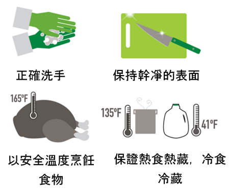 Visual illustration of four key food safety handling in Chinese