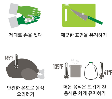 Visual illustration of four key food safety handling in Korean
