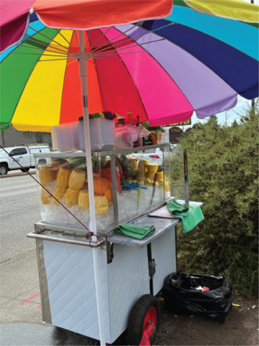 Example of an unpermitted mobile food cart