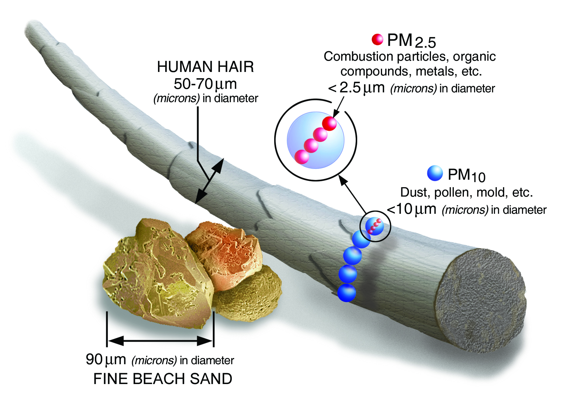 Diagram of particulate matter from the federal EPA