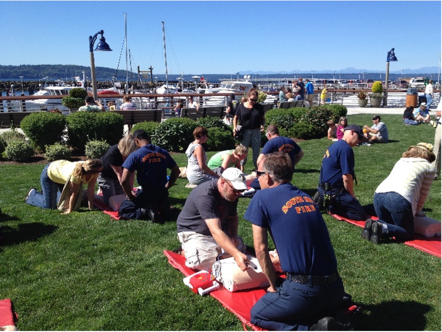 A wide-angle, outdoor eye-level shot captures a CPR training session taking place on a sunny day on a grassy waterfront park. Several pairs of people, including individuals in dark blue "South Fire" uniforms and civilians, are kneeling on red mats, practicing chest compressions on CPR mannequins. 