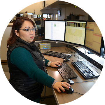 The EMS Tiered System: Step 2 - Triage by dispatcher using EMS response assessment criteria