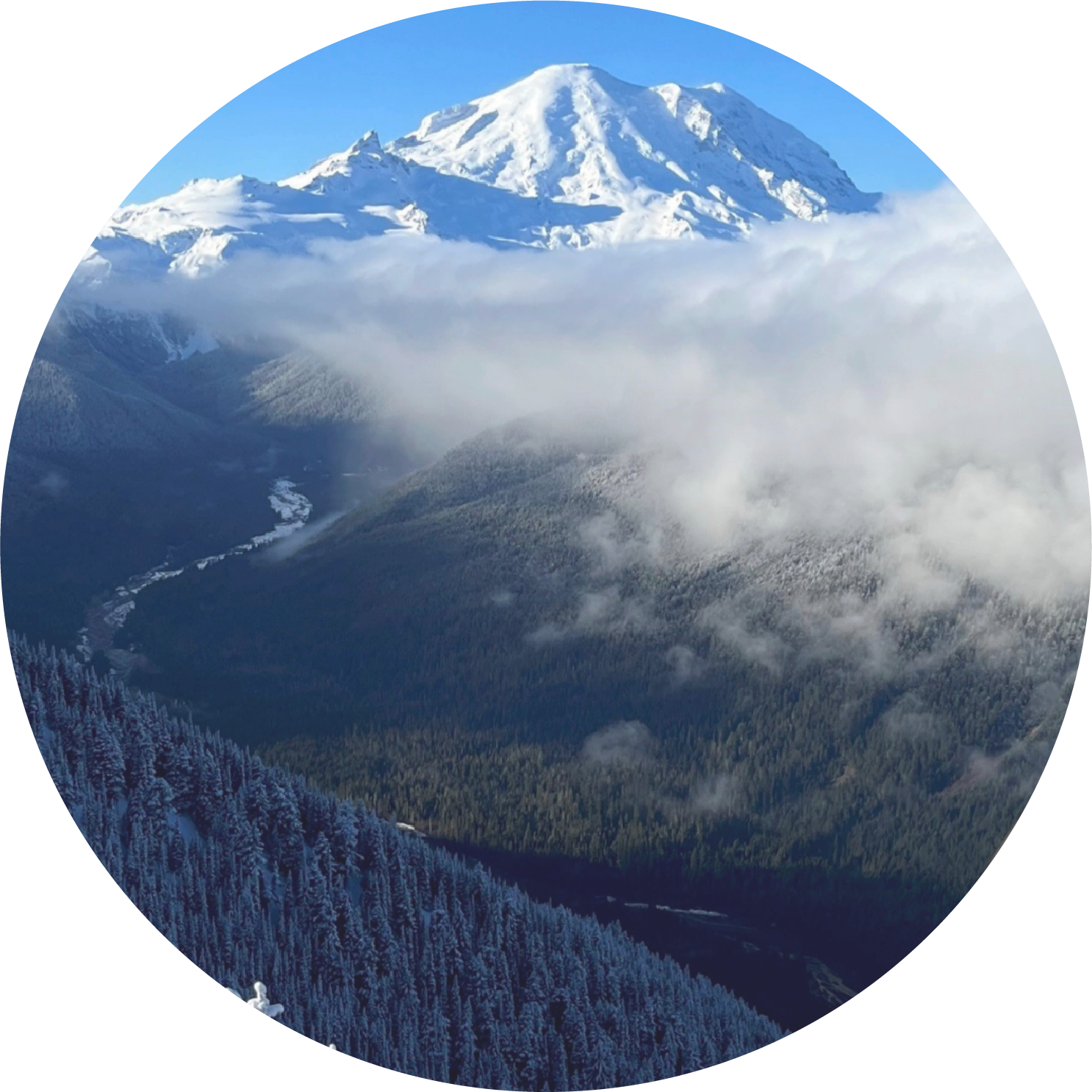 Menu navigation icon for hepatitis C data