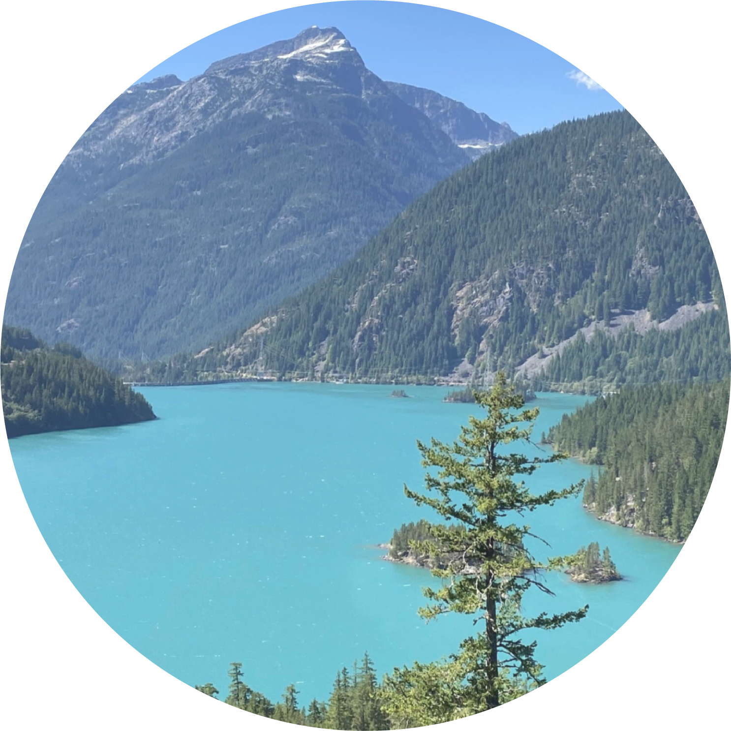 Menu navigation icon for HIV ands AIDS data