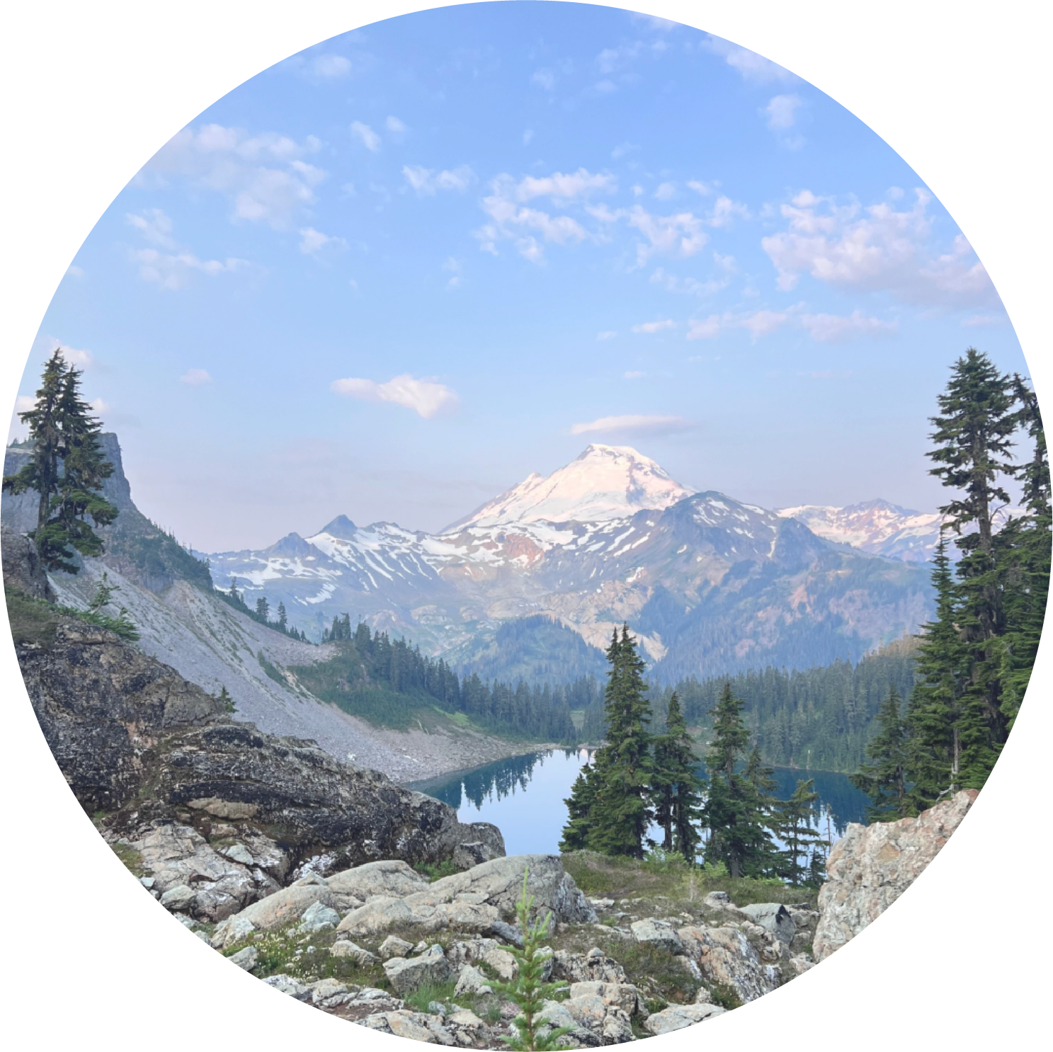 Menu navigation icon for Mpox data