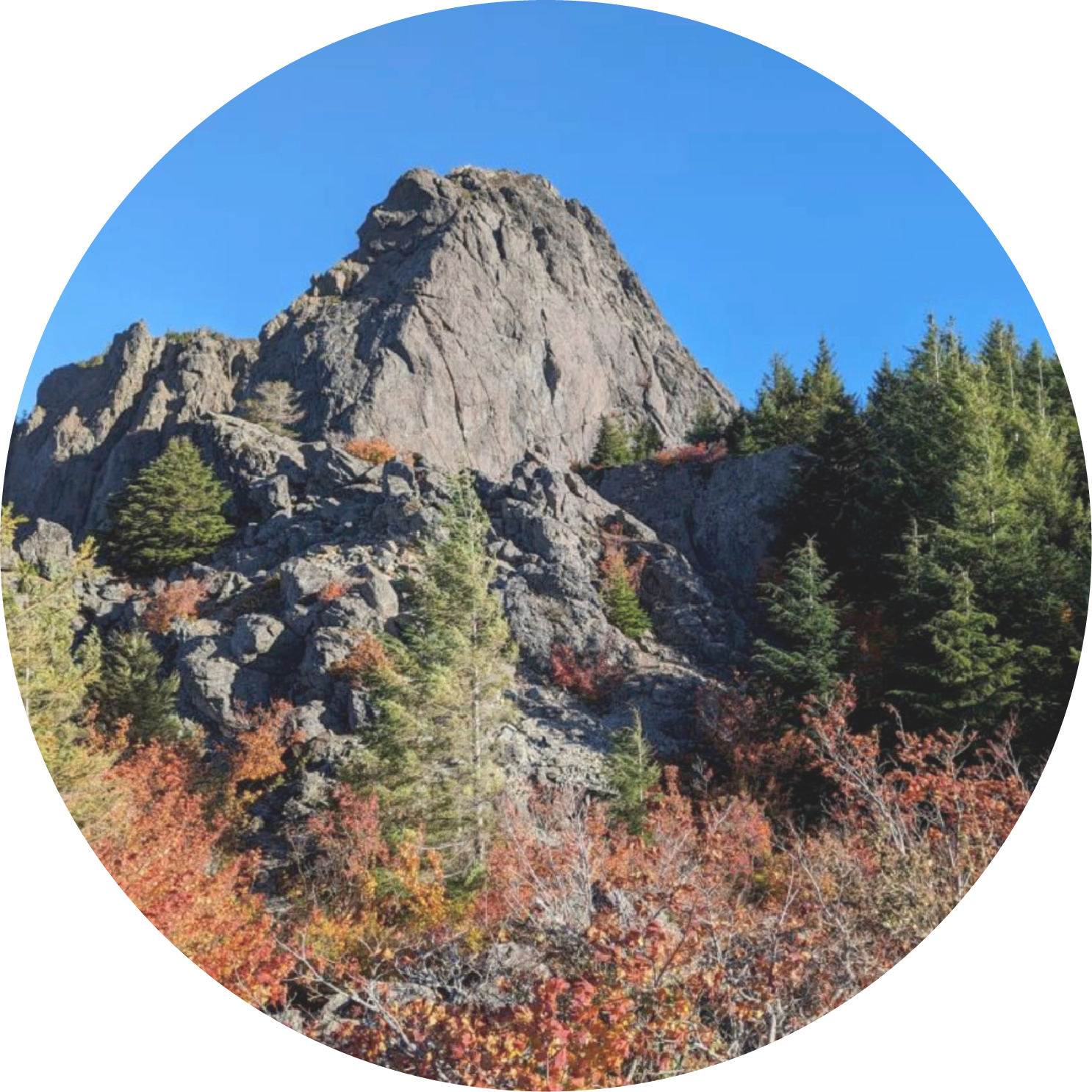 Menu navigation icon for STI data