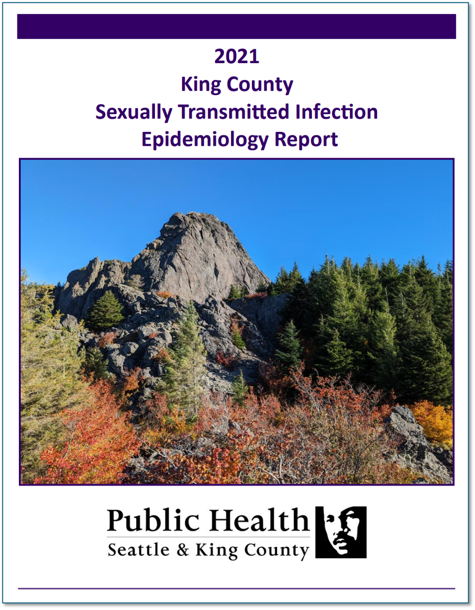 STI report cover screenshot