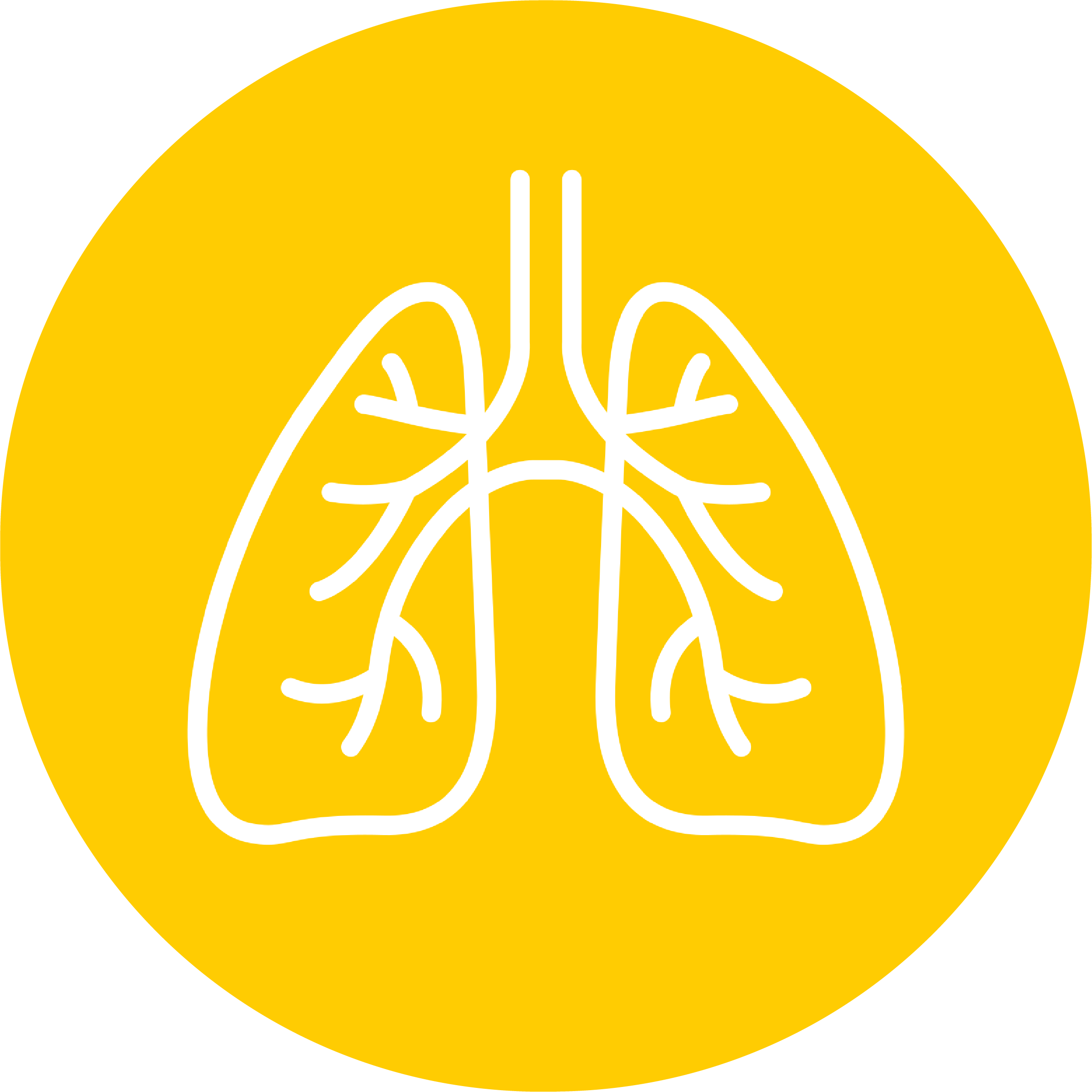 Navigation icon of lungs representing respiratory diseases