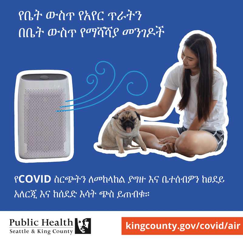 How to improve air quality at home in Amharic