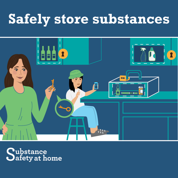 Screenshot of the Store drugs and alcohol safely at home poster